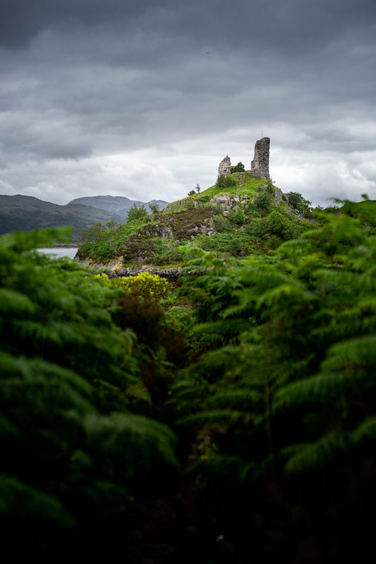 A.AP Scotland Landscape