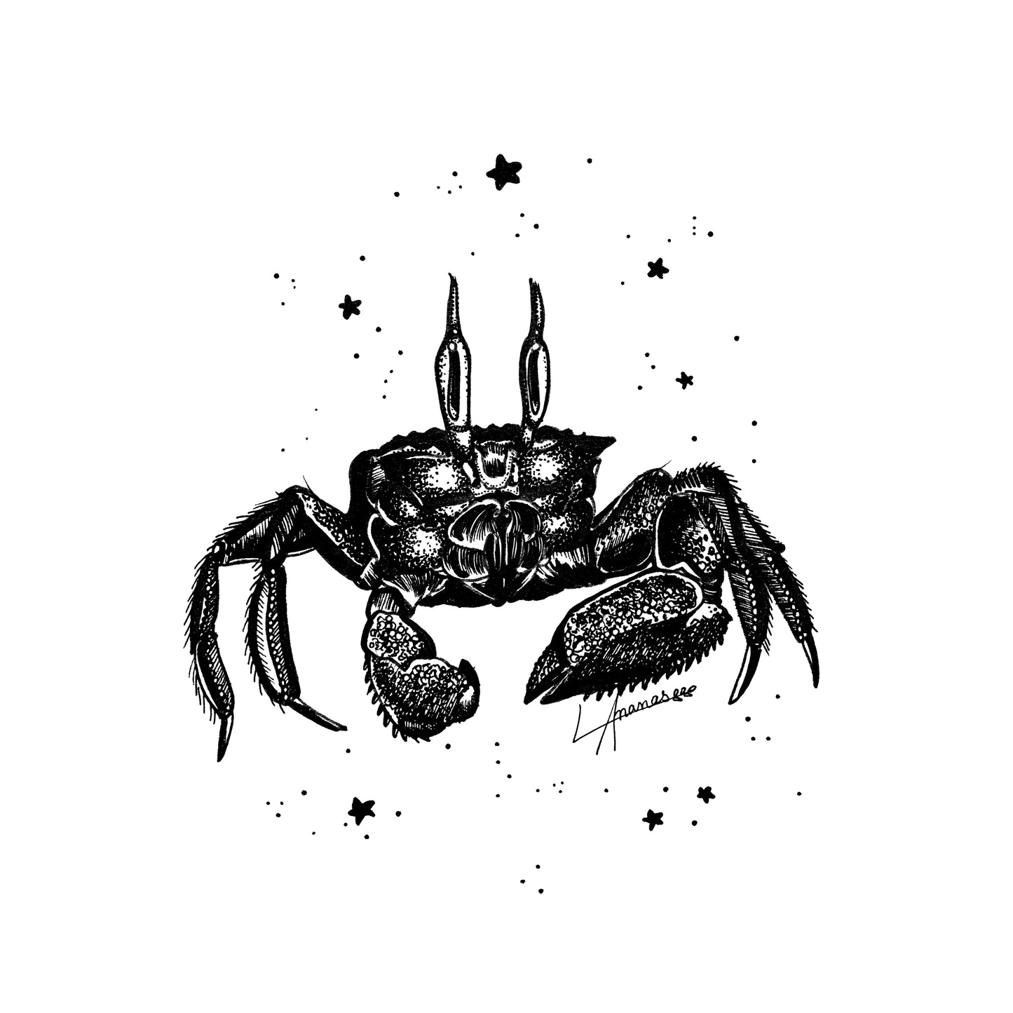 Ananas Crab